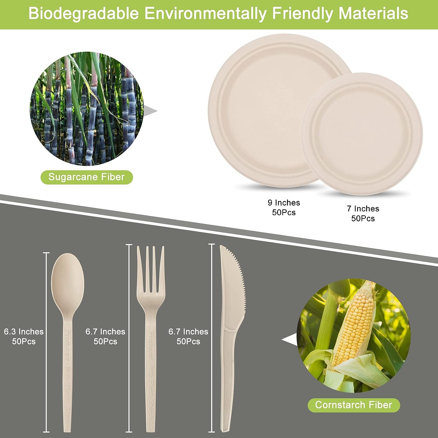 250 Piece Compostable Paper Plates Set Review - Shop Biodegradables